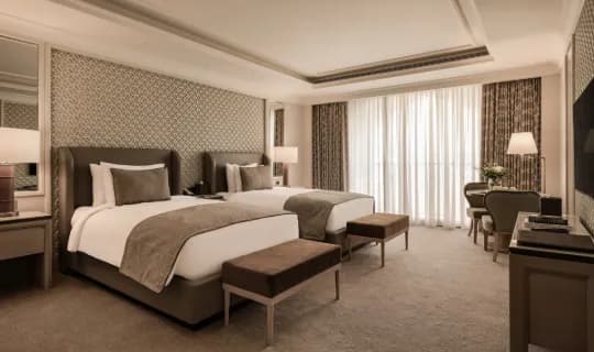 Giza Palace photo 5