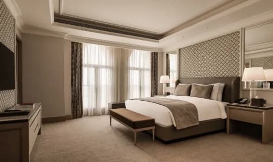 Giza Palace photo 2