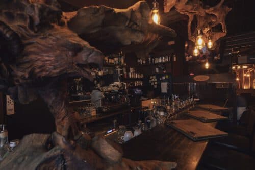 Vikings Lounge photo 4