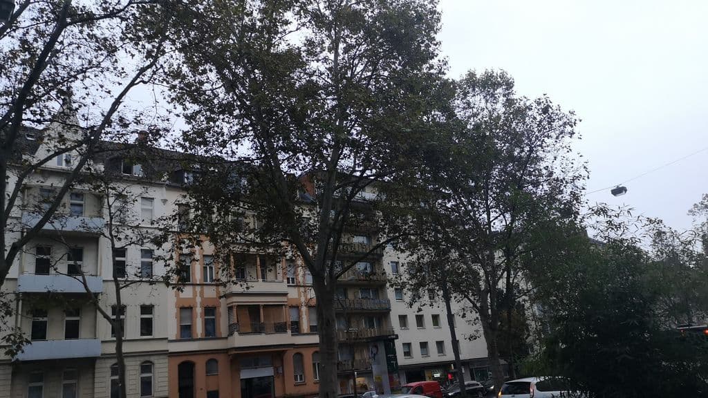 Street view near Sapqa Cafe/Bar/Lounge