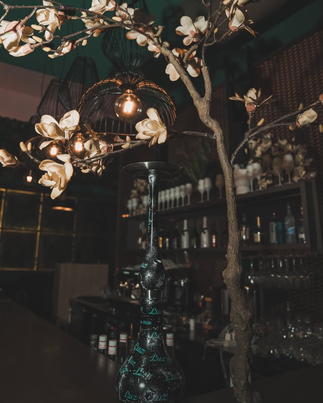 Luz Lounge photo 4