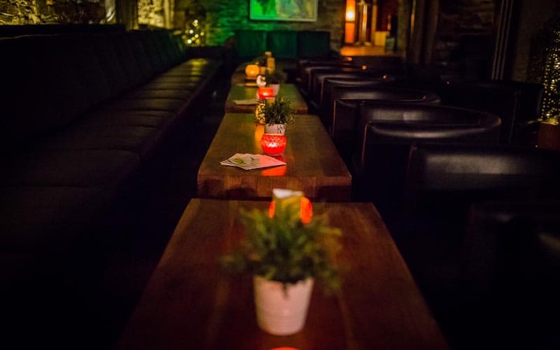 Gecko Lounge