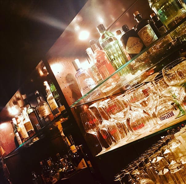 Gecko Lounge photo 2