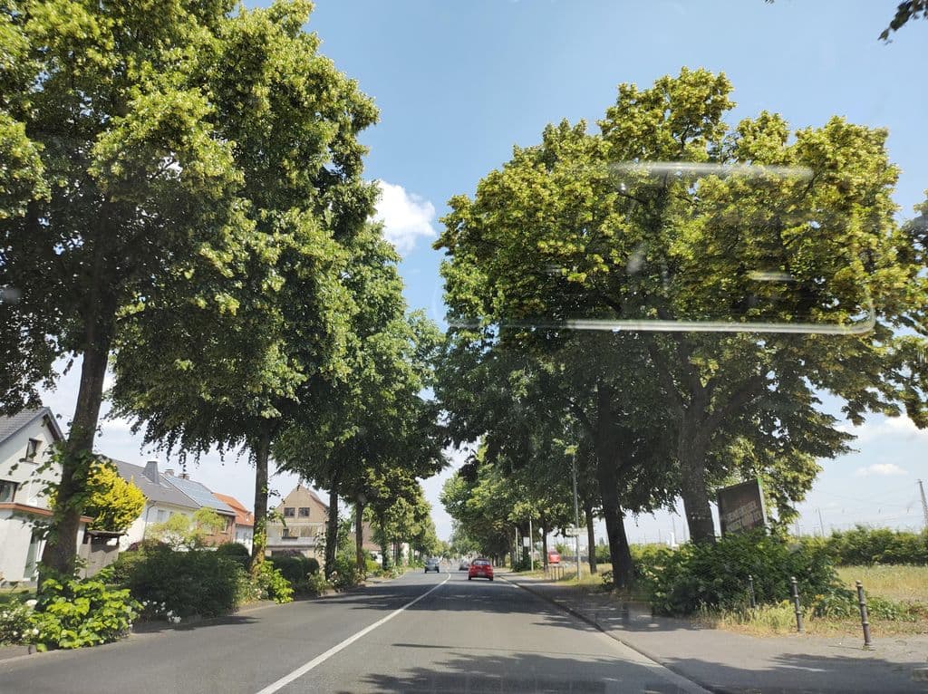 Street view near La Vida Lounge