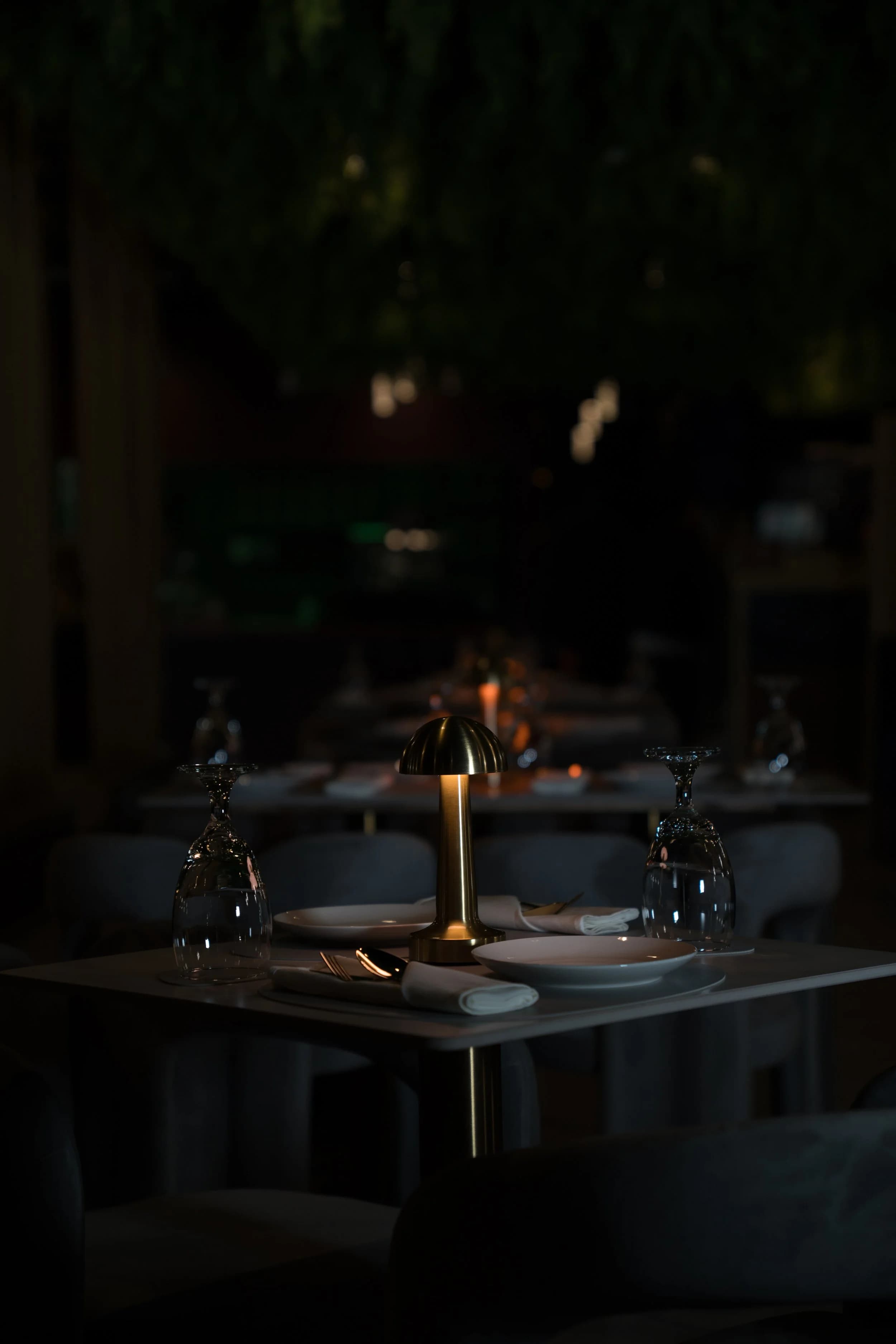 Astra Restaurant and Lounge photo 3