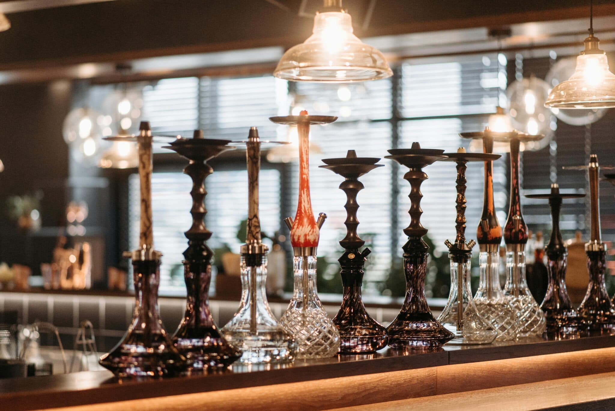 Bambou South photo 4