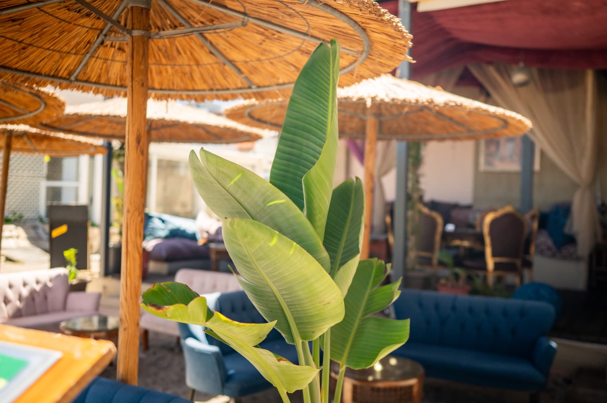 Harem Shisha Bar
