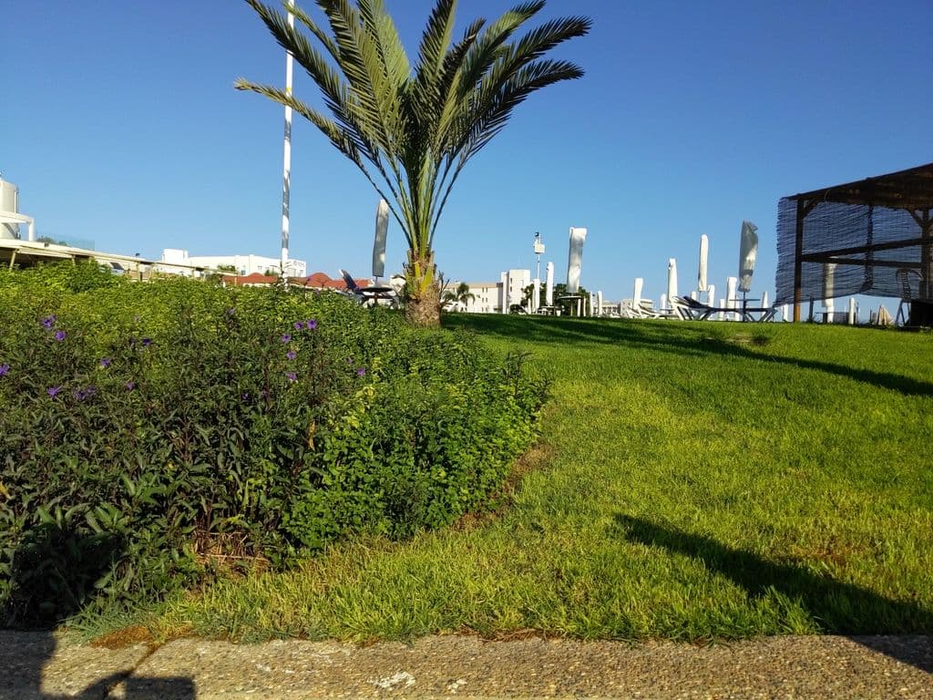 Street view near Coco Bar