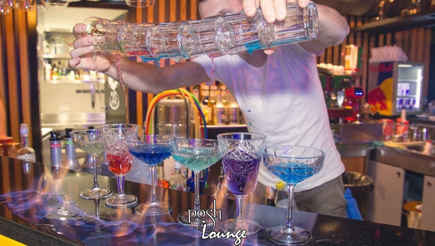 Posh Lounge photo 4