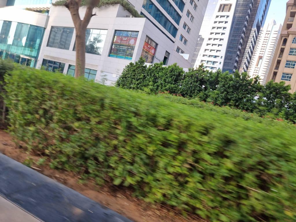 Street view near The Author's Lounge