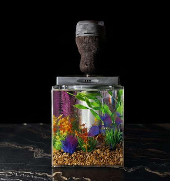 S47 Lounge photo 5