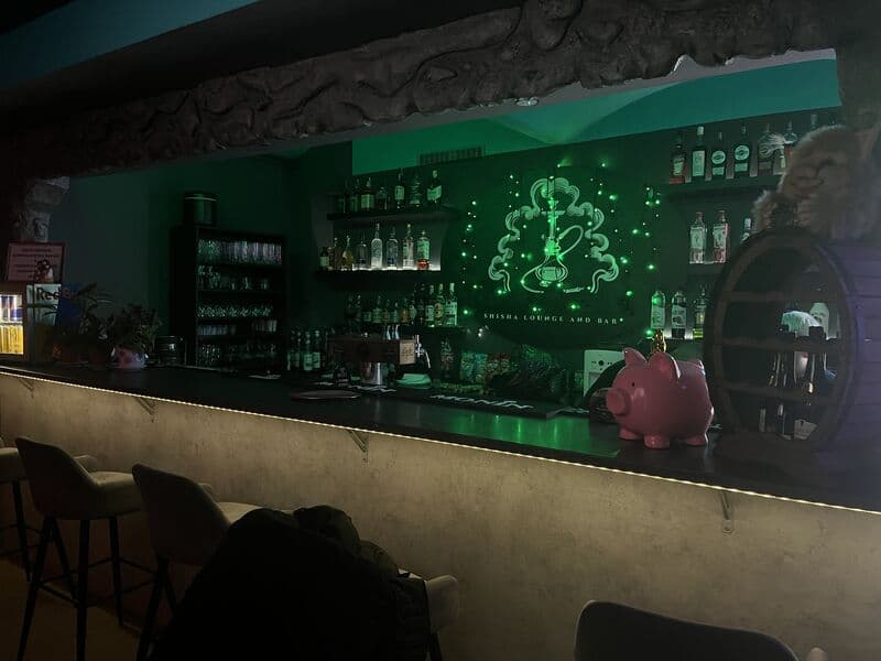 Sasha long bar photo 2