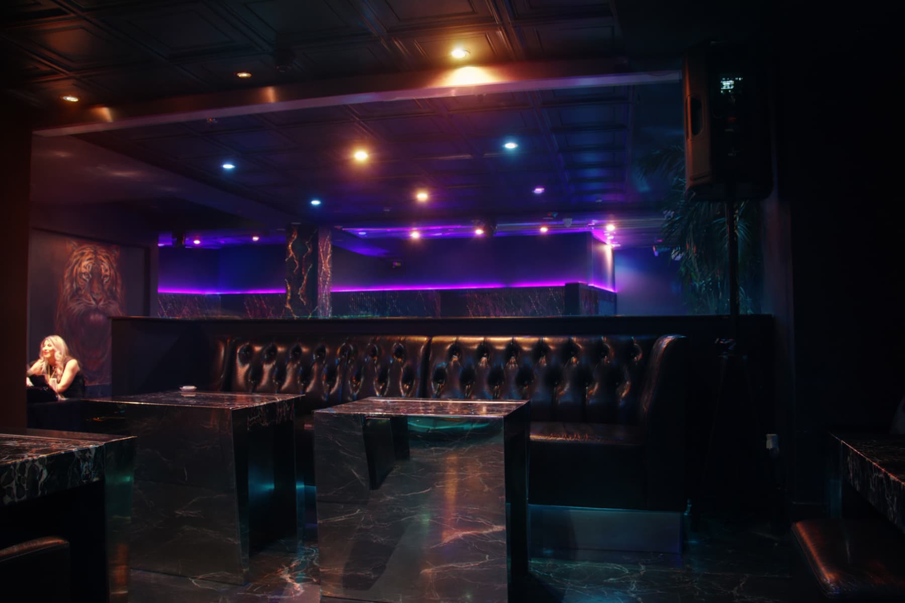 Cavalli Lounge photo 5