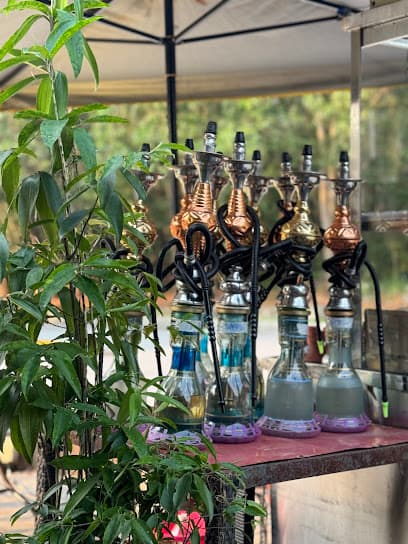 Salu Shisha 313