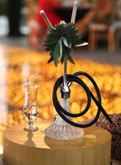 Luxury Hookah Mexico photo 2