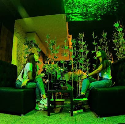 Carpe Diem Hookah Lounge & Bar