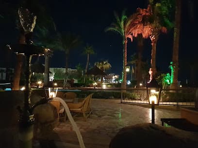 Shisha Cafe