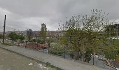 Aynez Nargile