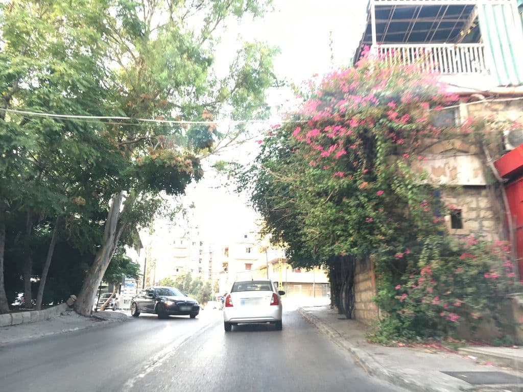 Street view near Abali