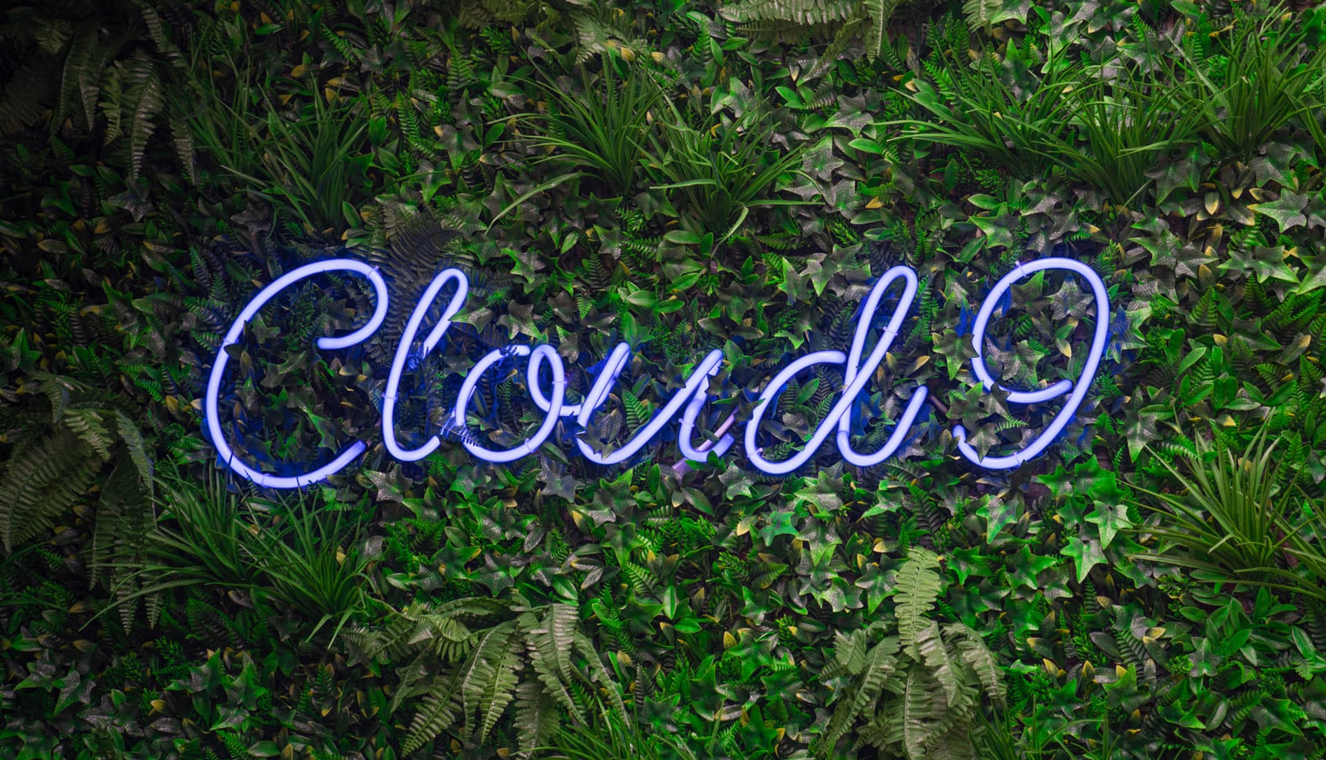 Cloud 9 Shisha