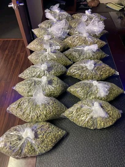 Plants Medicine